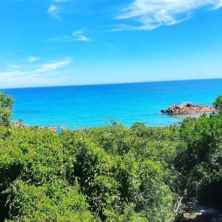 Donna Violante Porto Corallo Affittacamere