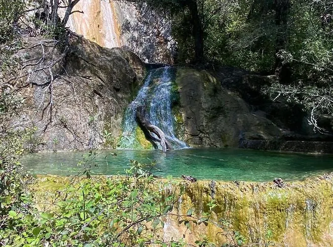 Donna Violante Porto Corallo