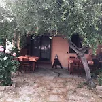 Pensionat Donna Violante Porto Corallo