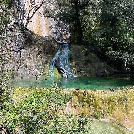 Donna Violante Porto Corallo