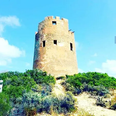 Donna Violante Porto Corallo