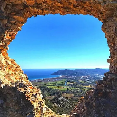 Donna Violante Porto Corallo *